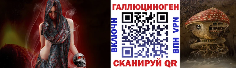 Псилоцибиновые грибы Cubensis Северская